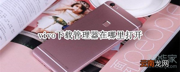 vivo下载管理器在哪里打开