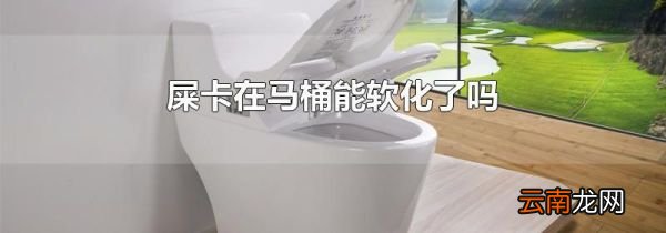 屎卡在马桶能软化了吗