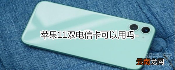 苹果11双电信卡可以用吗