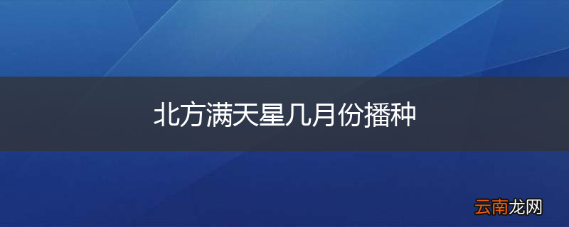 北方满天星几月份播种