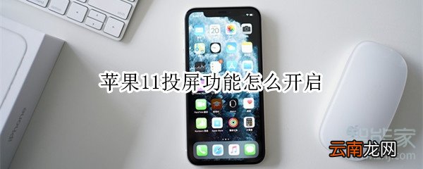 苹果11投屏功能怎么开启