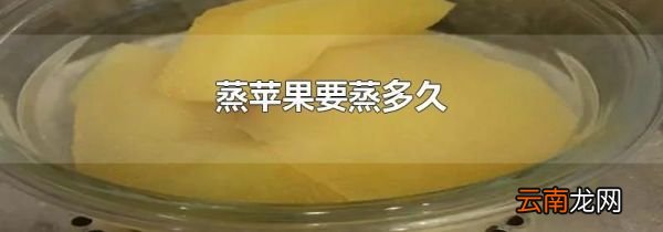 蒸苹果要蒸多久