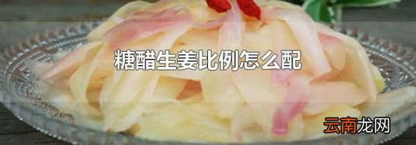 糖醋生姜比例怎么配