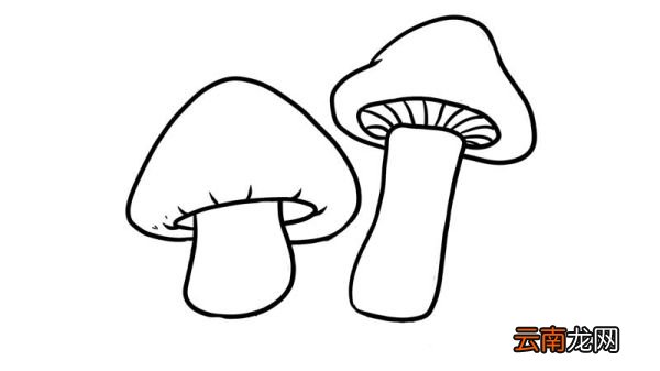 蘑菇简笔画 蘑菇简笔画步骤