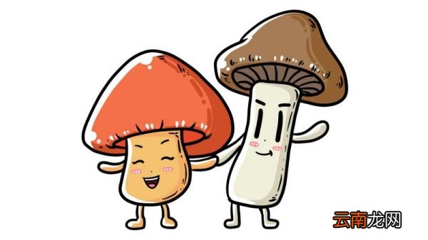蘑菇简笔画 蘑菇简笔画步骤
