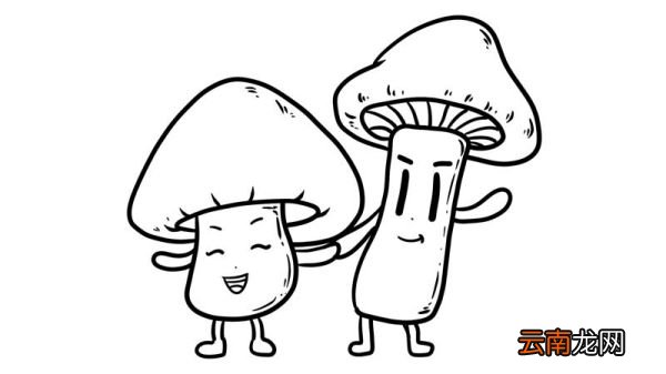 蘑菇简笔画 蘑菇简笔画步骤