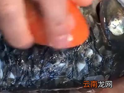 大鱼鱼鳞怎么刮