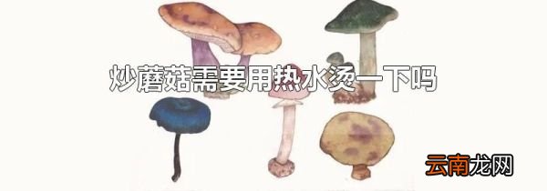 炒蘑菇需要用热水烫一下吗