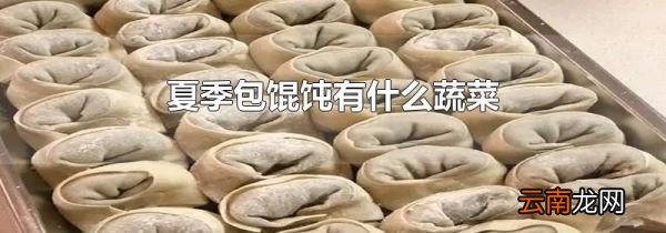 夏季包馄饨有什么蔬菜