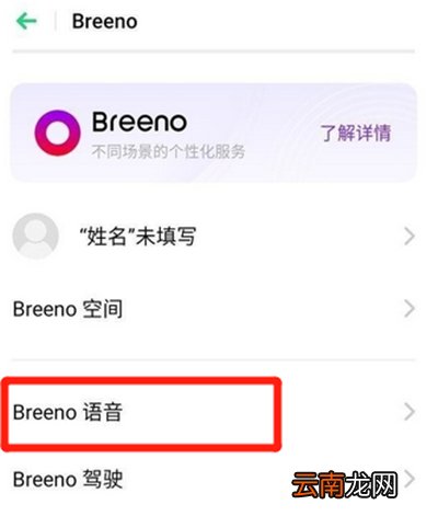 oppo手机breeno语音怎么关闭