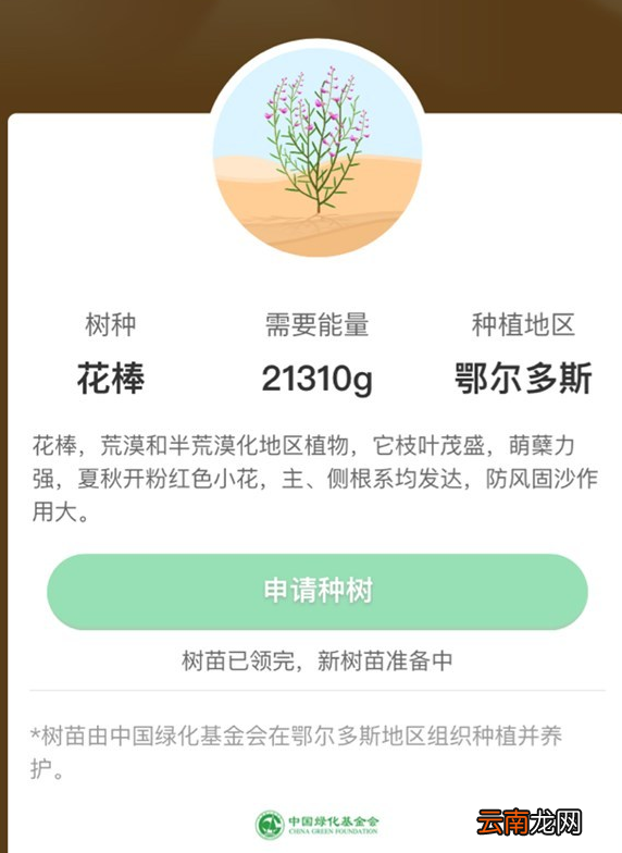 蚂蚁森林花棒种植攻略