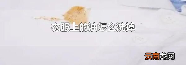 衣服上的油怎么洗掉