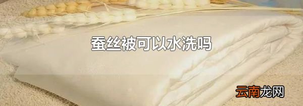 蚕丝被可以水洗吗