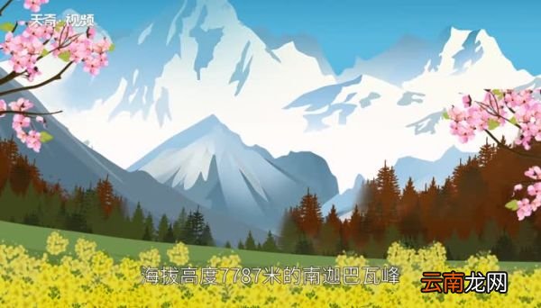 林芝海拔多少米 西藏林芝海拔高度