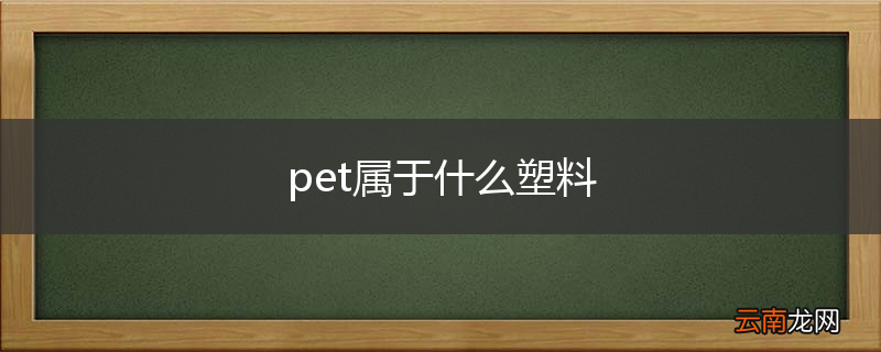 pet属于什么塑料