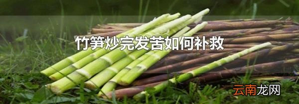 竹笋炒完发苦如何补救