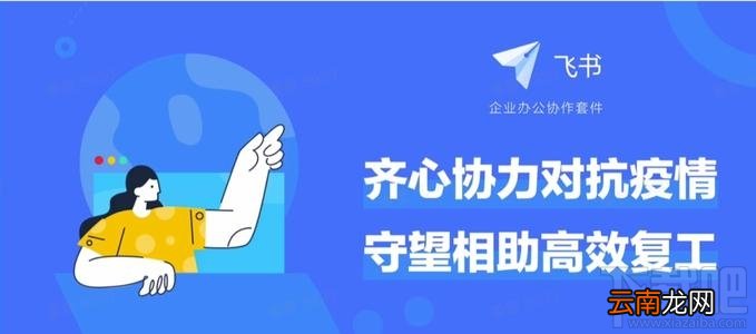 飞书和钉钉哪个好用？飞书与钉钉区别对比