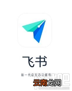 飞书和钉钉哪个好用？飞书与钉钉区别对比