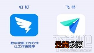 飞书和钉钉哪个好用？飞书与钉钉区别对比