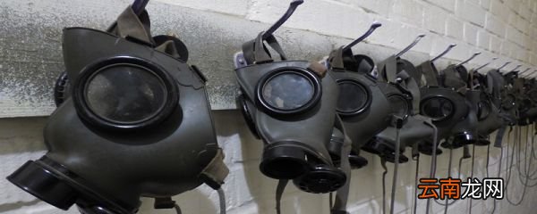 防毒面具根据什么动物的脸做的 防毒面具是根据什么动物发明的