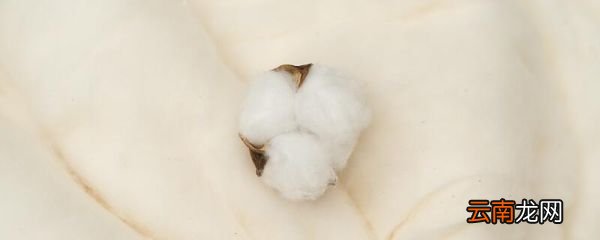 水洗棉和精梳棉的区别 精梳棉和水洗棉一样吗