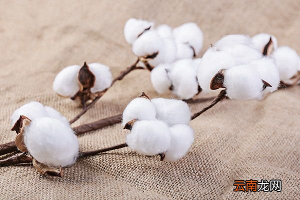 水洗棉和精梳棉的区别 精梳棉和水洗棉一样吗