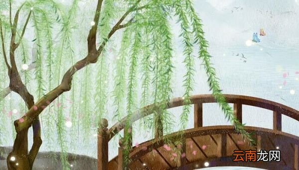 柳树的特点有哪些 柳树有什么特点