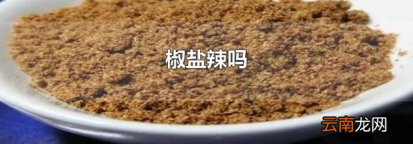 椒盐辣吗