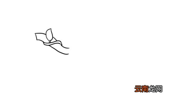 树藤简笔画怎么画怎么画树藤简笔画