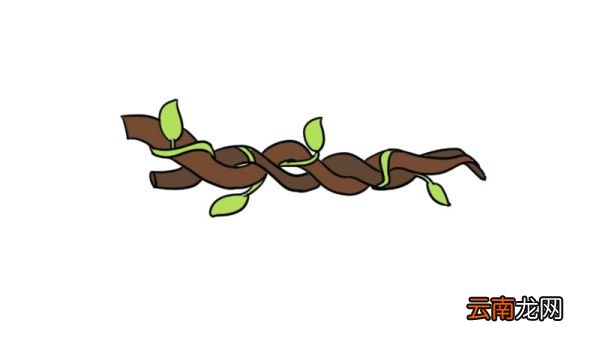 树藤简笔画怎么画怎么画树藤简笔画