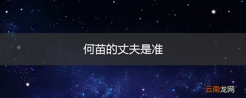 何苗的丈夫是准