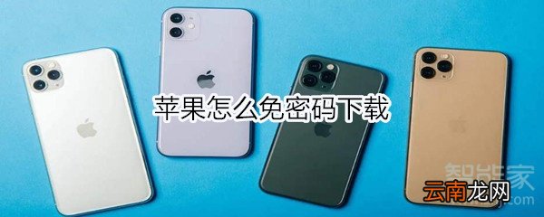 苹果怎么免密码下载