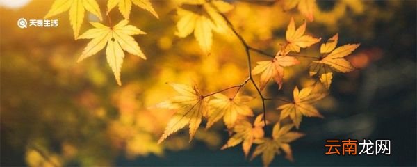 中秋节的来历简单介绍 中秋节的习俗