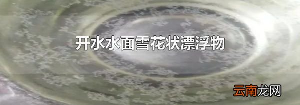 开水水面雪花状漂浮物