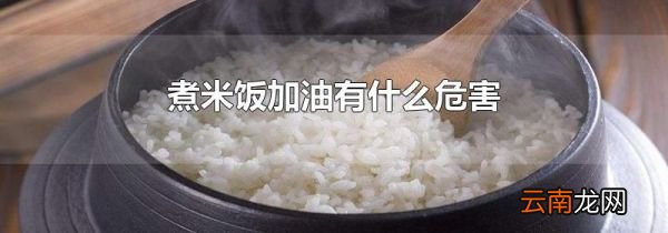 煮米饭加油有什么危害
