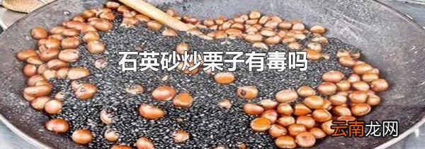 石英砂炒栗子有毒吗