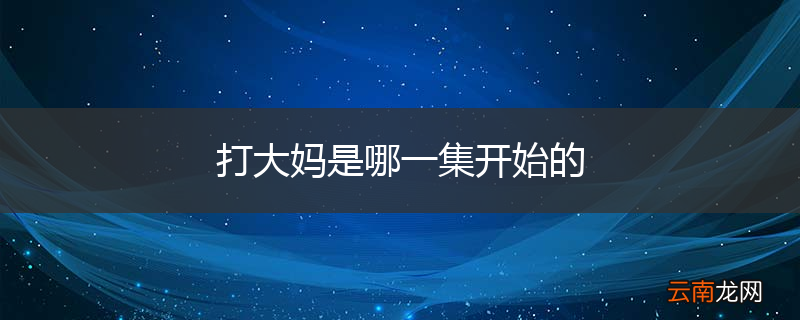 打大妈是哪一集开始的