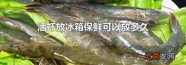活虾放冰箱保鲜可以放多久