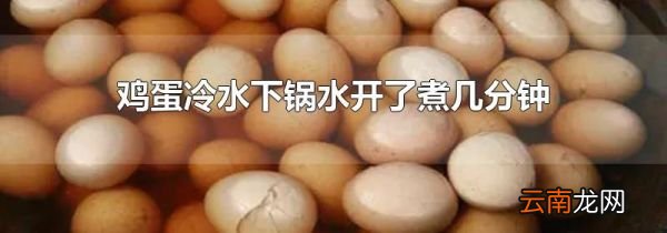 鸡蛋冷水下锅水开了煮几分钟