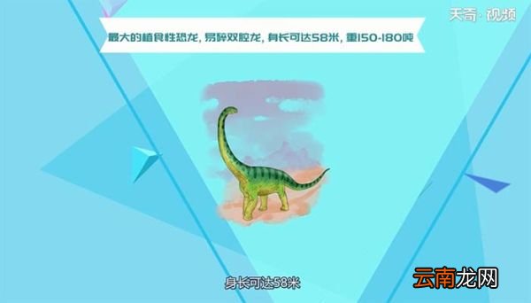 恐龙是什么动物 恐龙属于什么动物