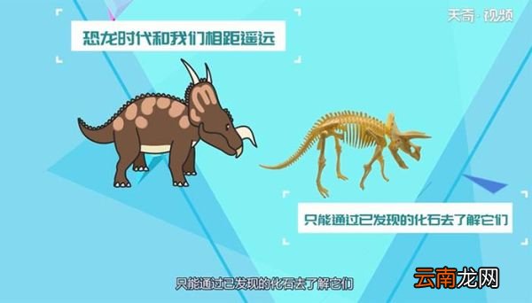 恐龙是什么动物 恐龙属于什么动物