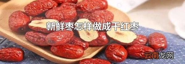 新鲜枣怎样做成干红枣