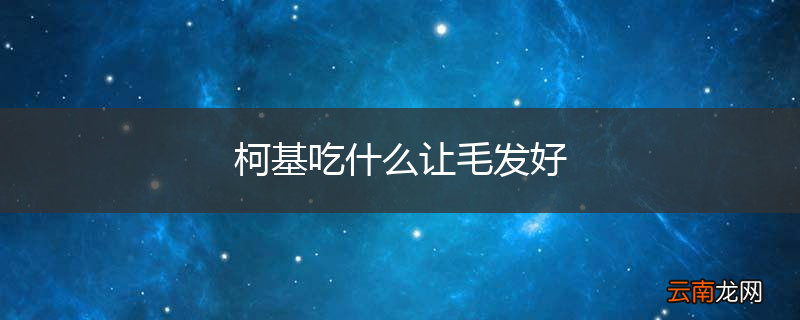 柯基吃什么让毛发好