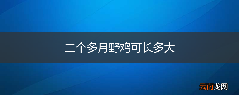 二个多月野鸡可长多大