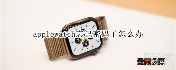applewatch忘记密码了怎么办
