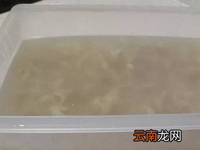 如何让皮冻快速凝固