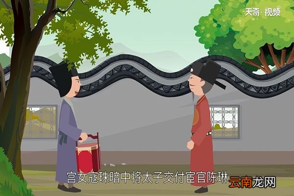 狸猫换太子的故事