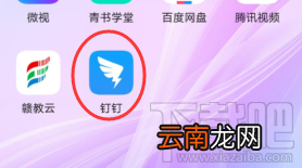 钉钉深色模式怎么开启?钉钉设置深色模式技巧