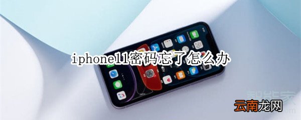 iphone11密码忘了怎么办