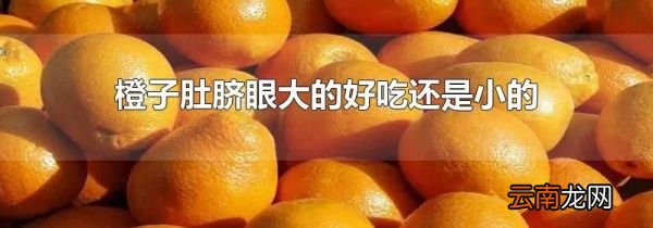 橙子肚脐眼大的好吃还是小的
